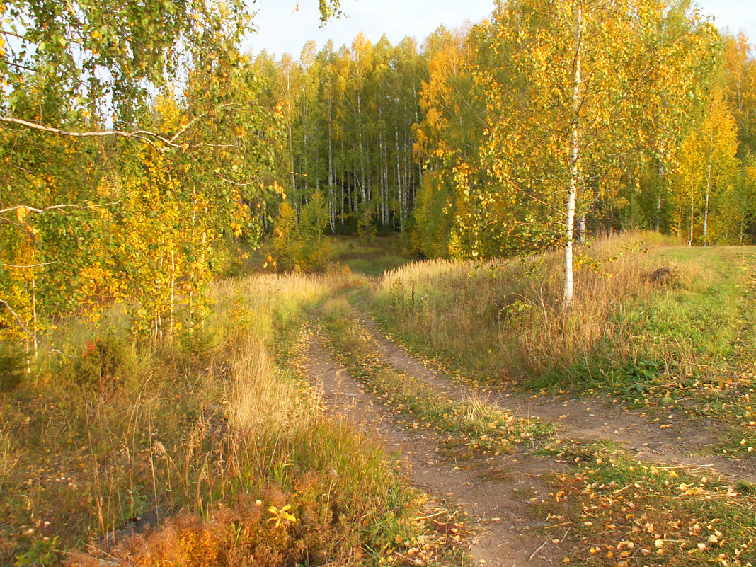 Очей очарование - Любовь 