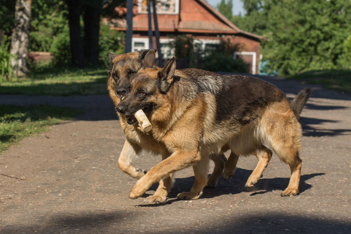 /// - Ирина Чикида
