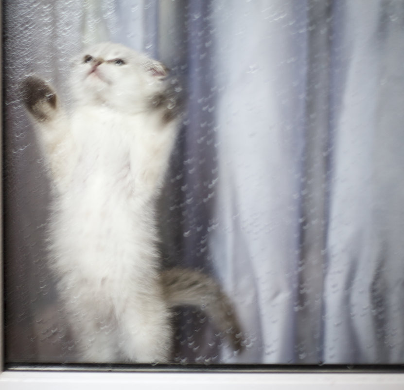 Стёпыч - Tатьяна 