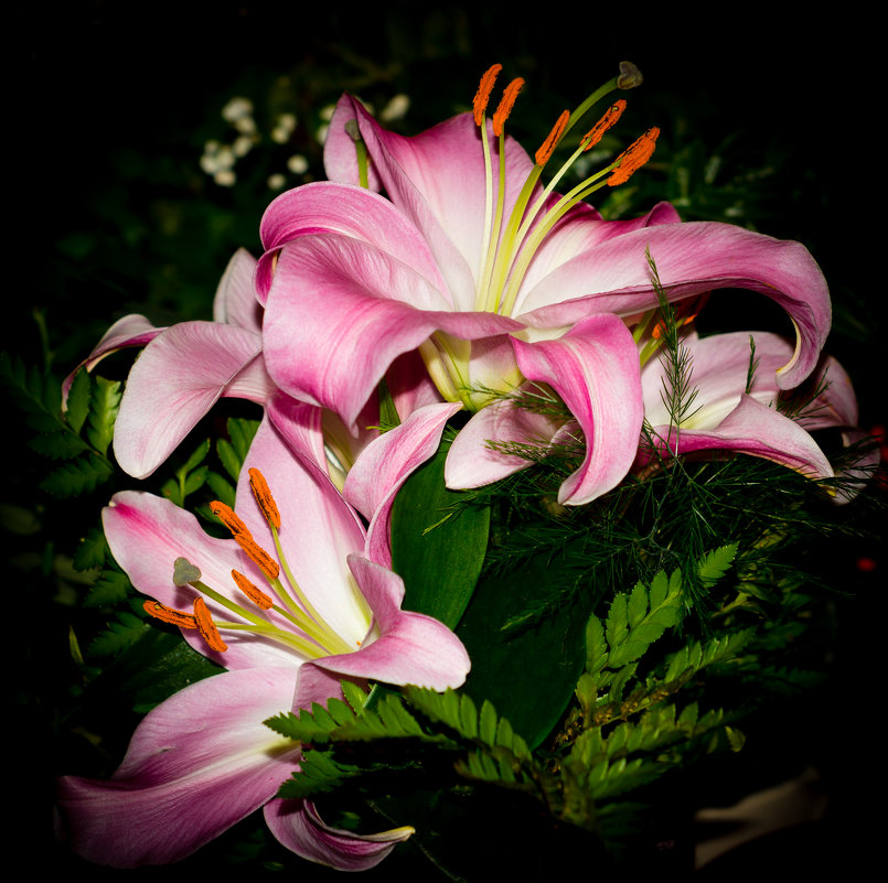 *** - Boris Altynnikov