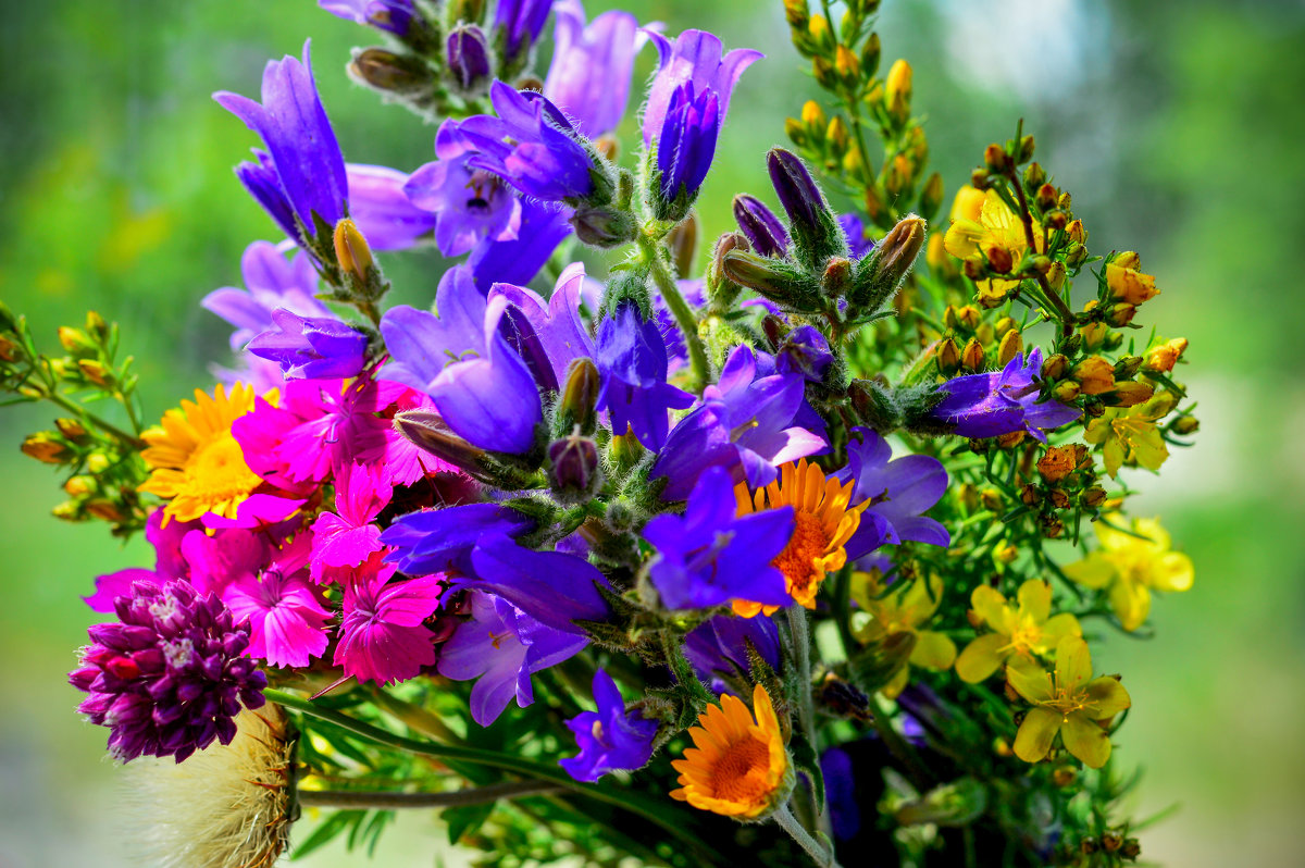 Букет Кубани - Ольга Ивченко Букет Кубани - Ольга Ивченко