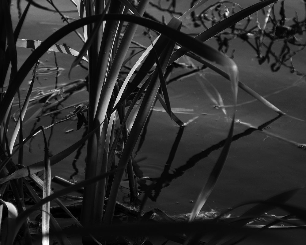 *** - Валерия  Полещикова 