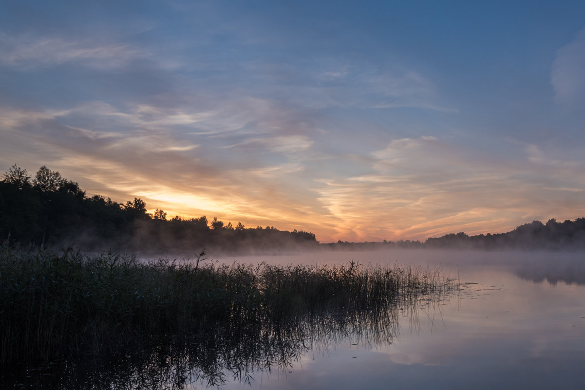 Рассвет на берегу Виесите (Латвия) во время фестиваля FotoFest-2015 21-23. Августа 2015 - Jevgenija St