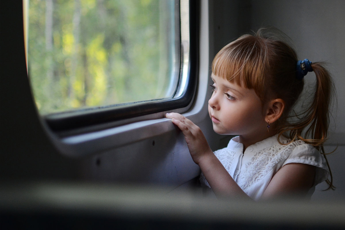 В поезде - Евгения Черепанова В поезде - Евгения Черепанова