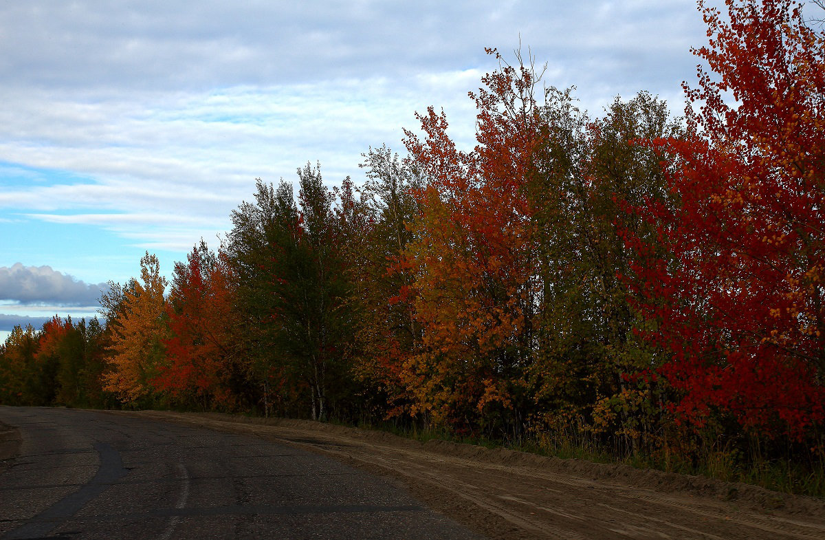 По дороге - в гости к Осени - Виктор Коршунов По дороге - в гости к Осени - Виктор Коршунов