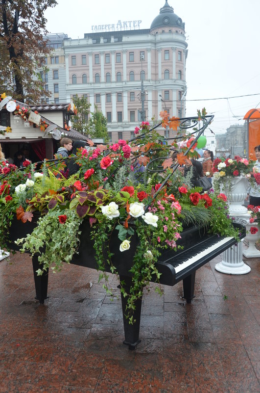 Москве 868 лет - Елена Данилина