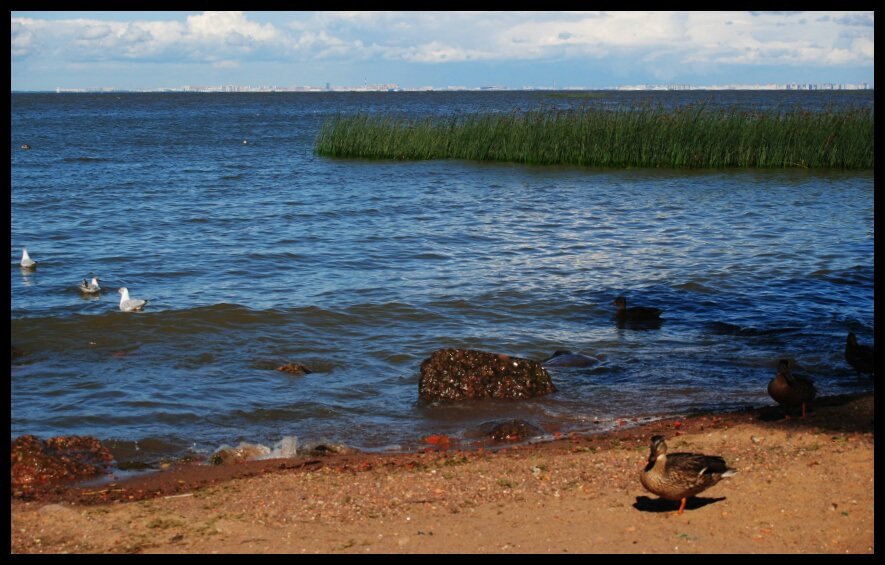 большая вода)) - юлия.. Таксебефотограф))