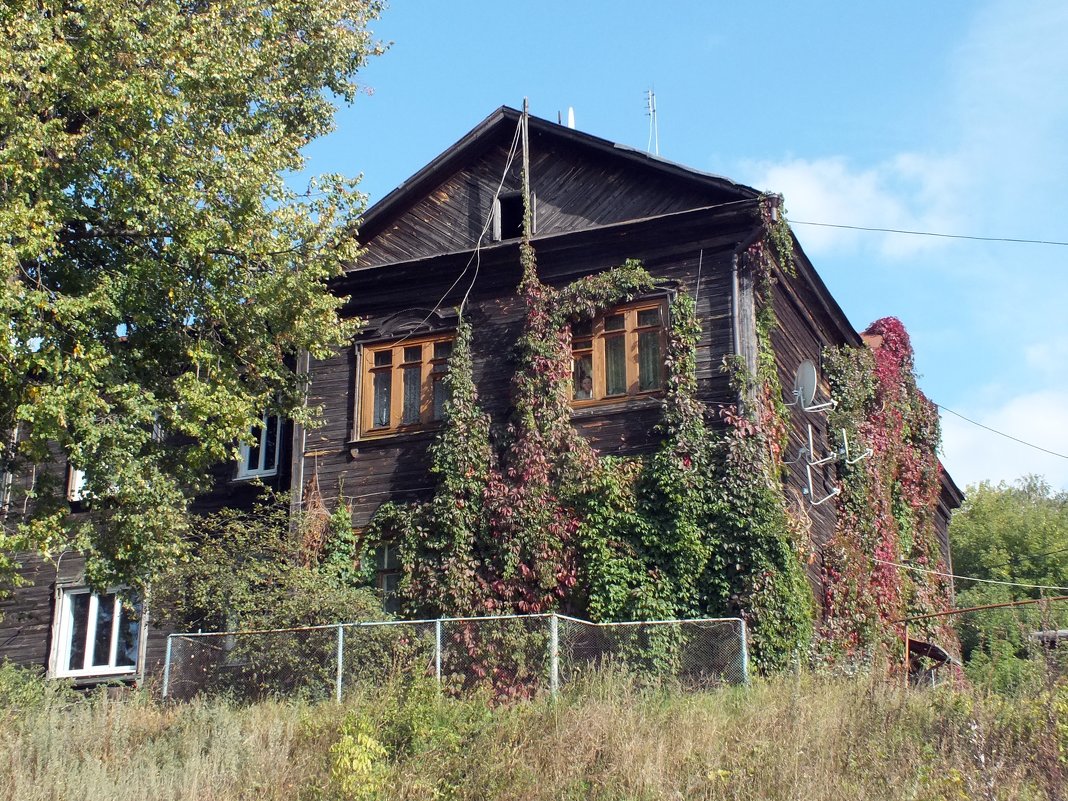 *** - Зоя Мишина