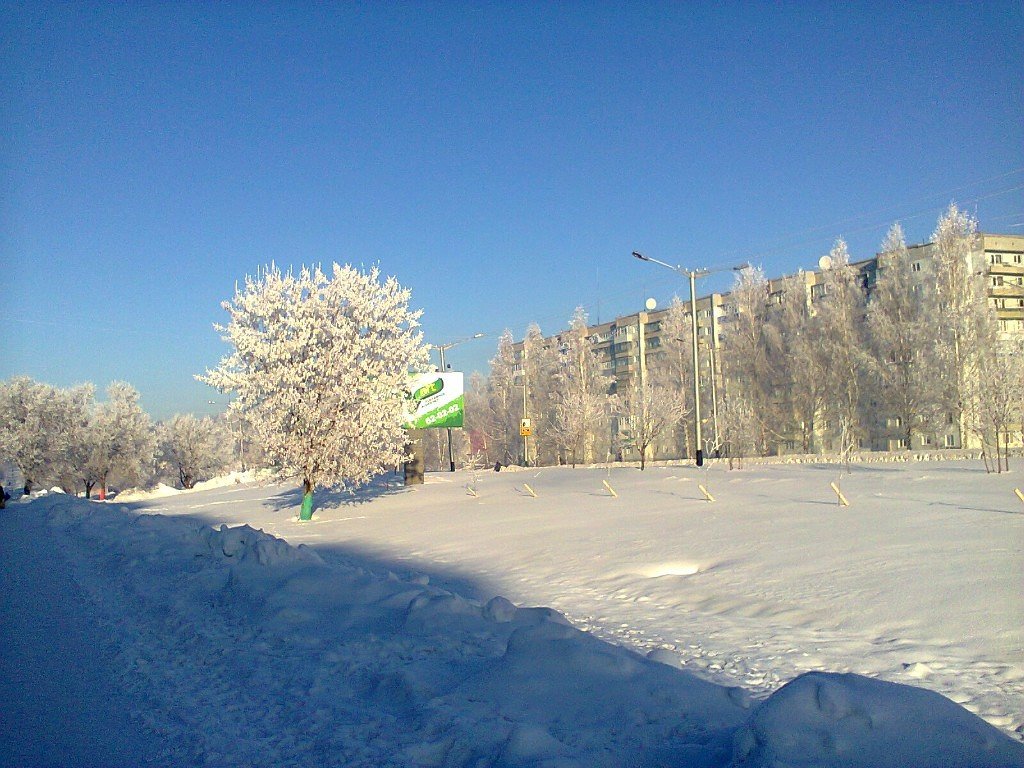 Морозный солнечный день - Валентина Журба