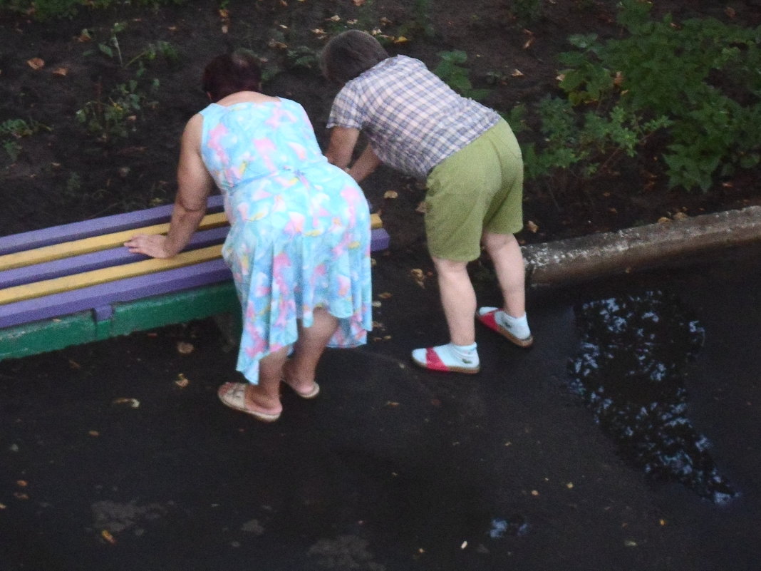 Любопытство!!! - Галина Дашевская