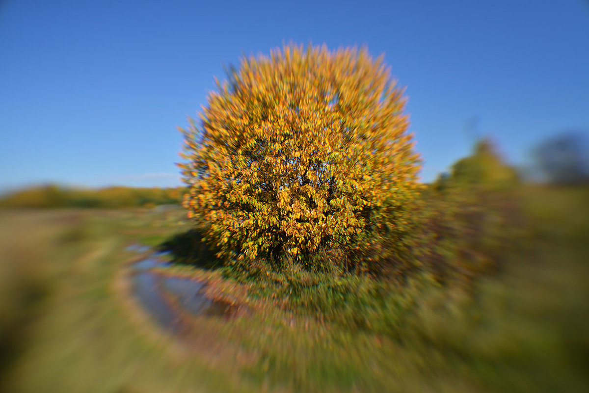 Из альбома Осень - Борис Гуревич 