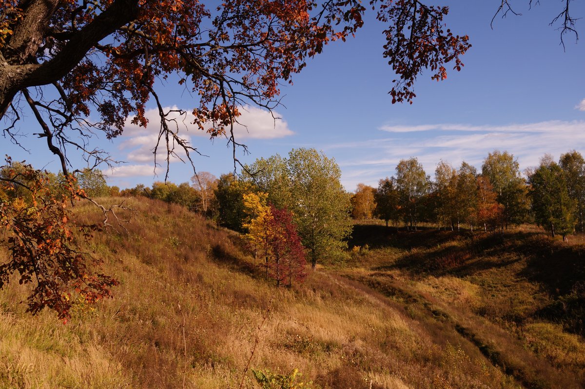 Осень - kolyeretka 