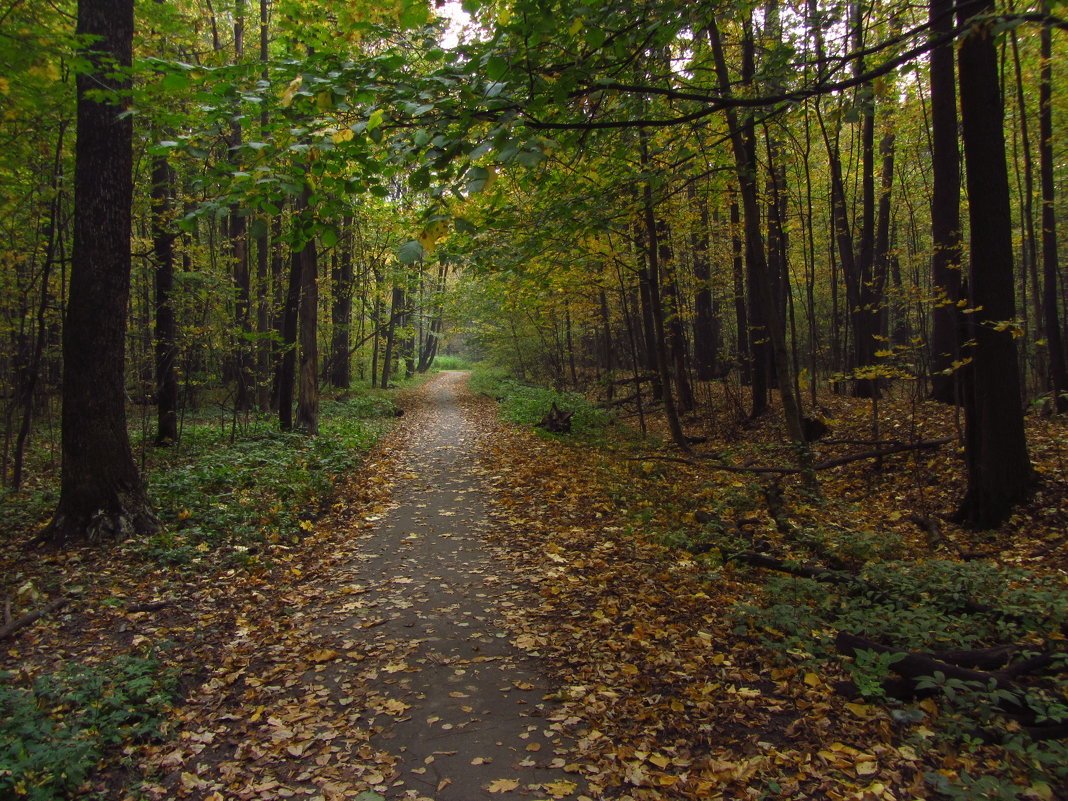 Осень не только по календарю - Андрей Лукьянов