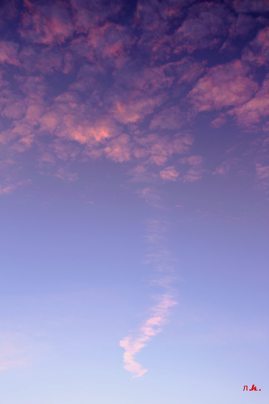 ... - Лариса Корж