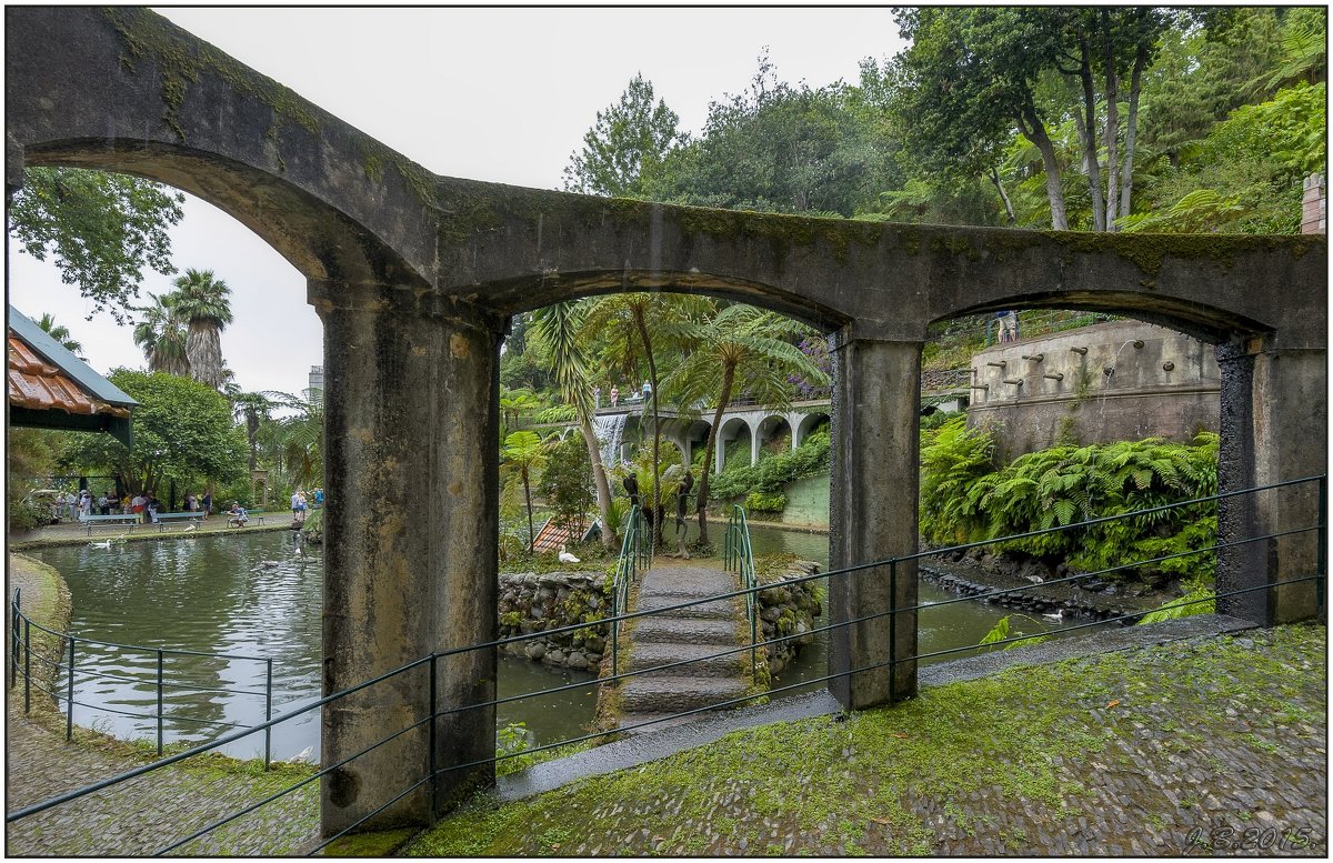 Madeira with love. - Jossif Braschinsky