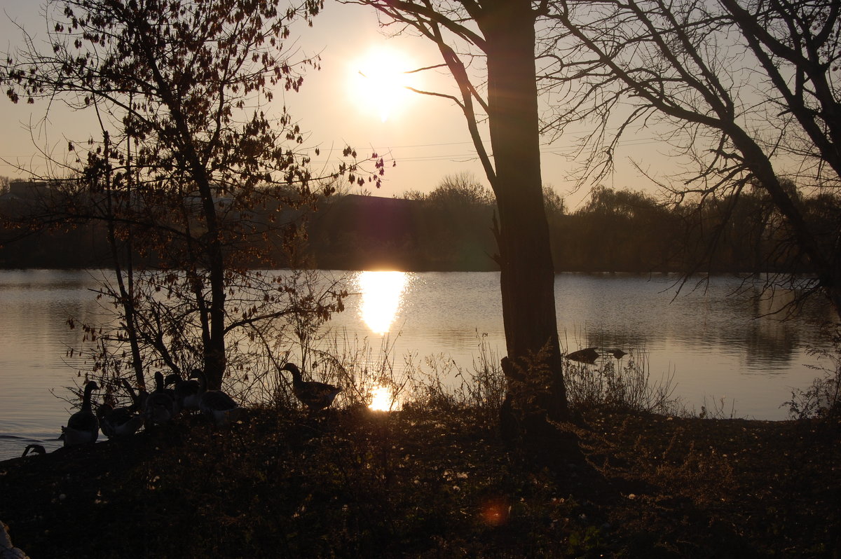 Вечереет - Ann 