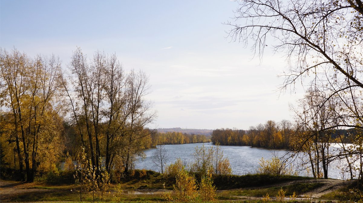 Панорама осени - Наталия Григорьева