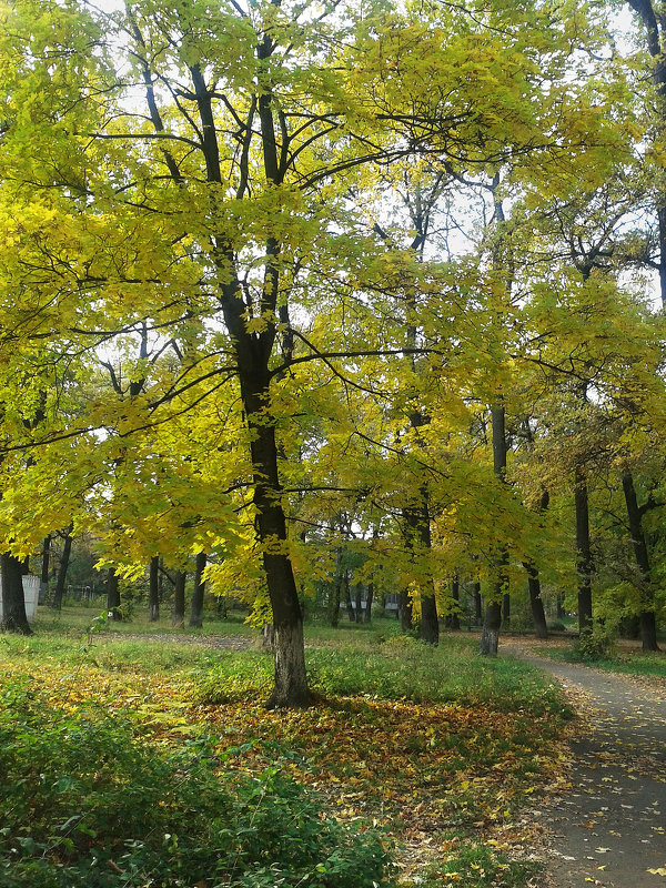 *** - Валентина Береснева