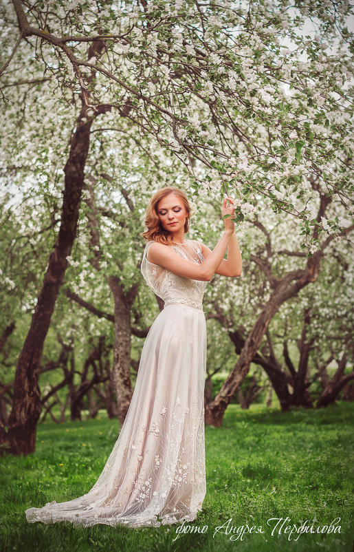 Wedding - Андрей Перфилов