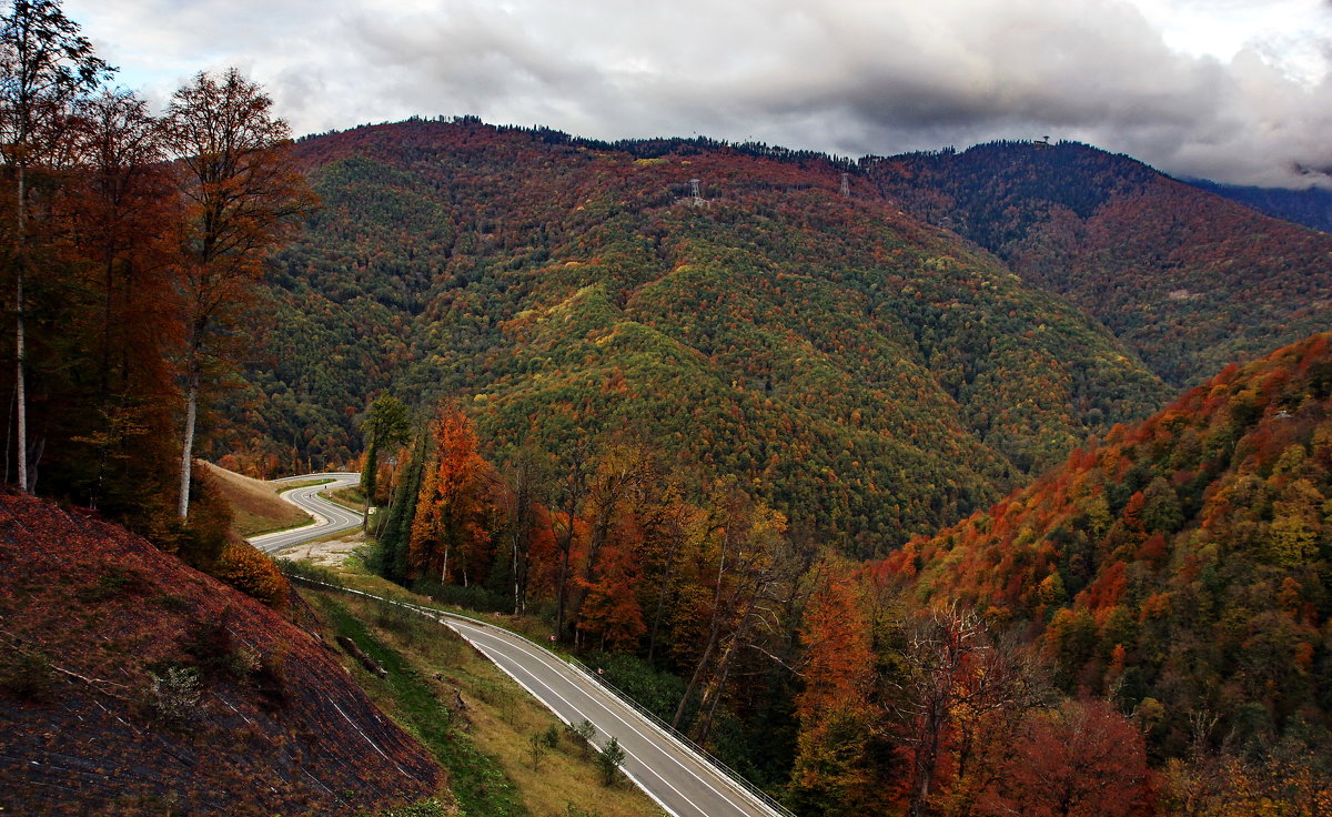 Пусть будет осень... - Виолетта Пусть будет осень... - Виолетта