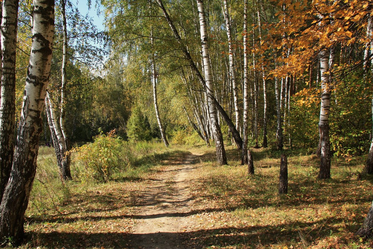 Осень - Владимир Холодницкий