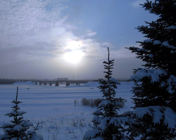 Середина ноября. Солнце в облачной дымке. - Николай Туркин 