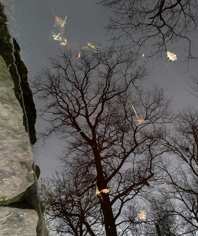 *** - Валентина Береснева *** - Валентина Береснева