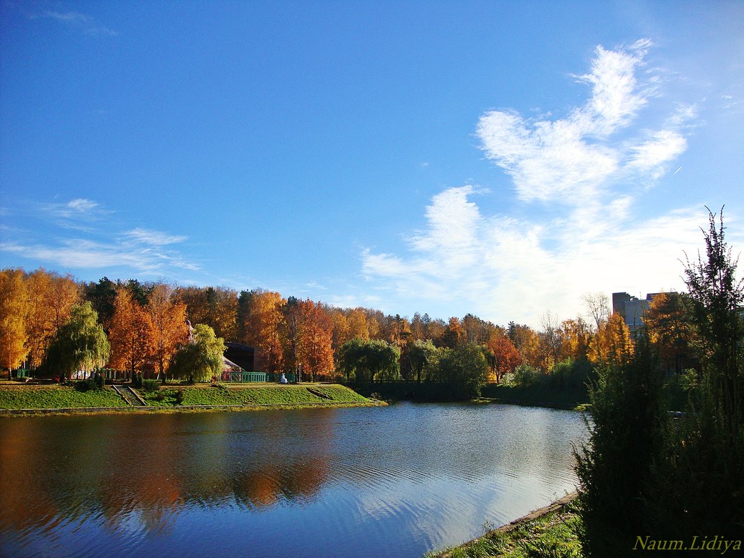 Многообразие красок осени - Лидия (naum.lidiya)