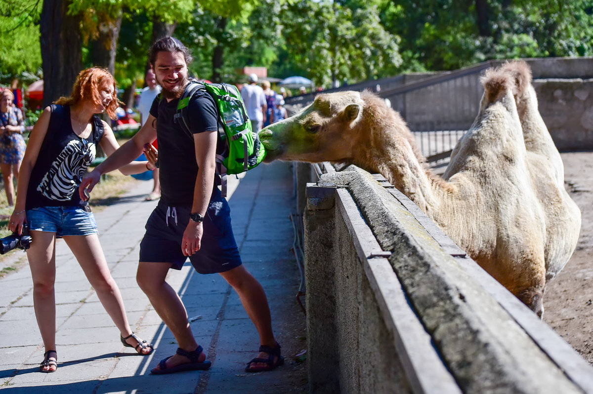 Сфотографировали?А теперь рассчитывайтесь!))) - ALLA Melnik 