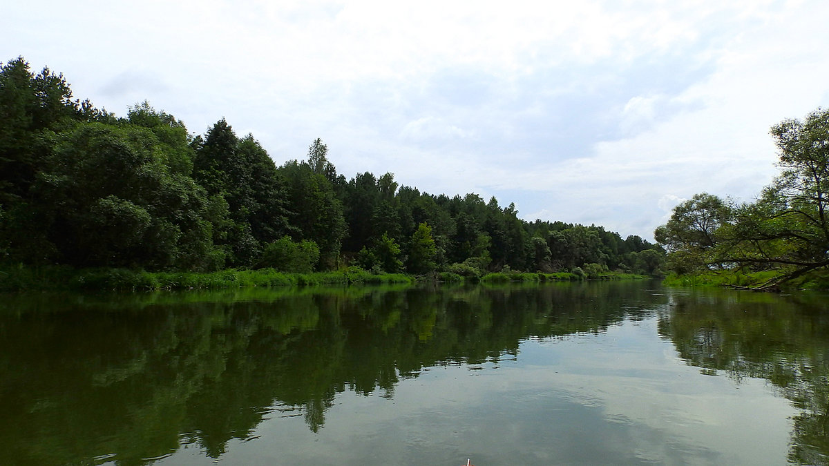 Берег левый..... - Татьяна Шестакович