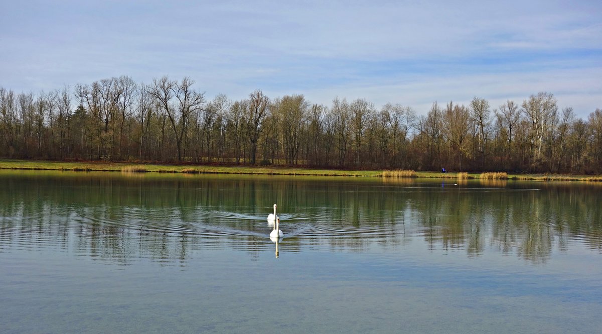 ... - Galina Dzubina