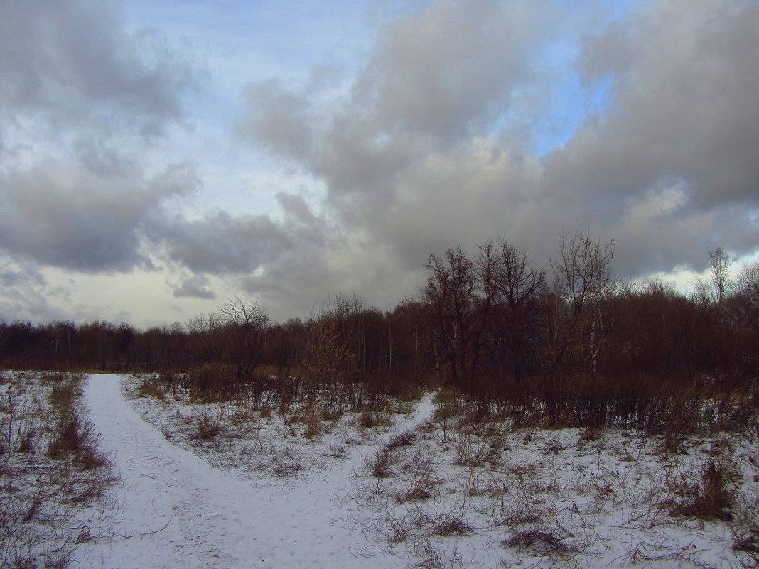 Говорят, впереди - большой снегопад - Андрей Лукьянов Говорят, впереди - большой снегопад - Андрей Лукьянов