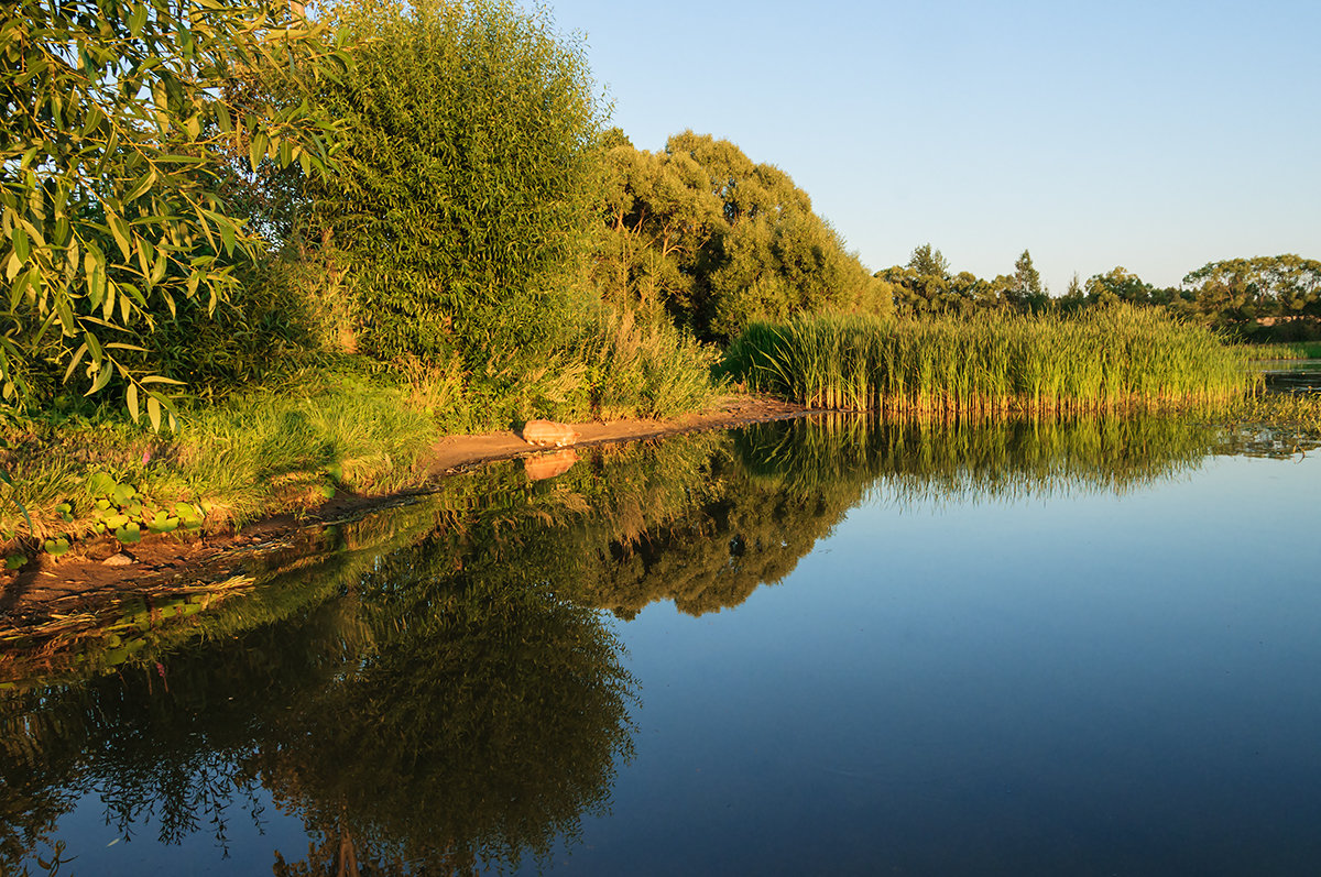 тихий вечер - Galina тихий вечер - Galina