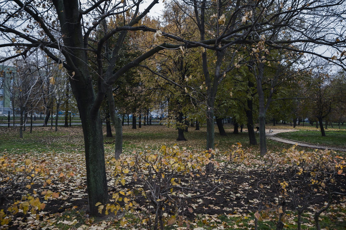 ** - Сергей Наумов