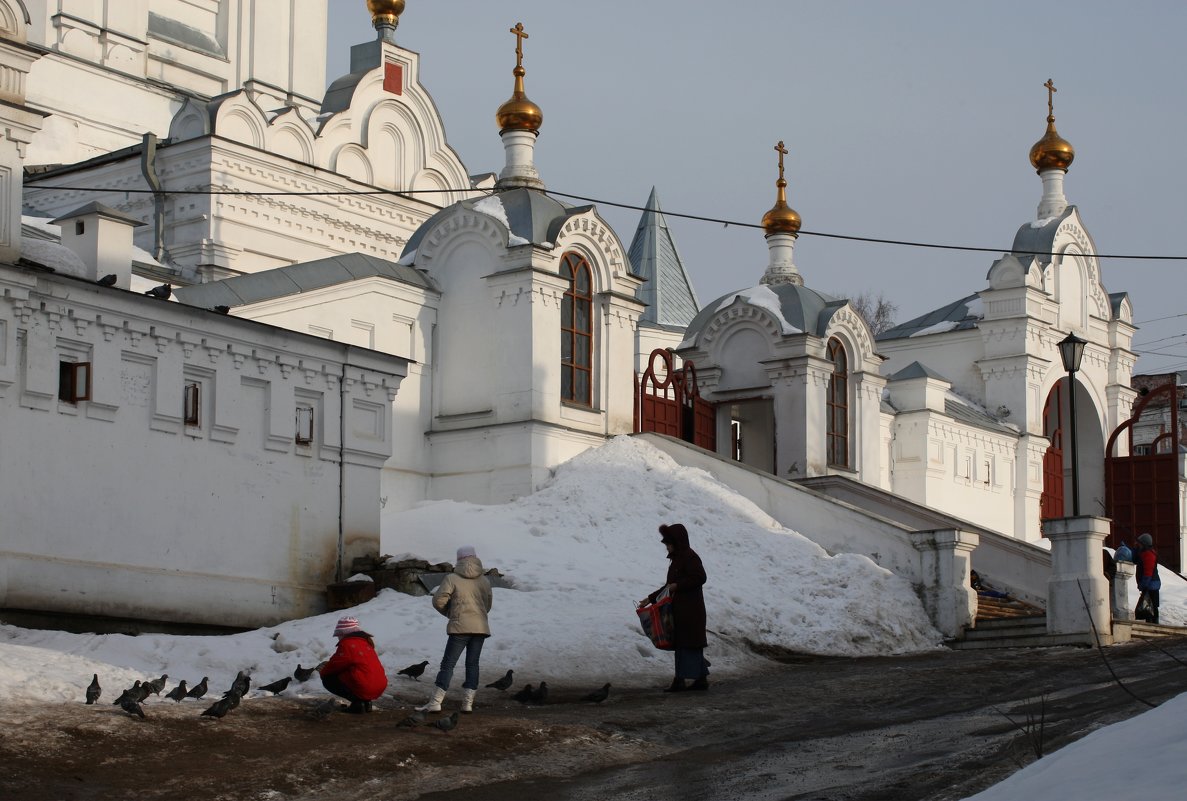 Поздороваться с голубями - Валерий Чепкасов