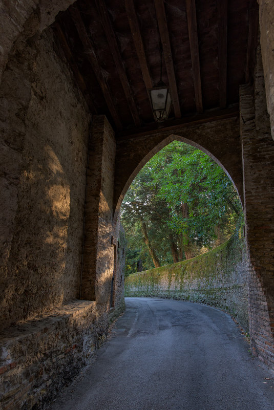 Castello di Conegliano - Олег 