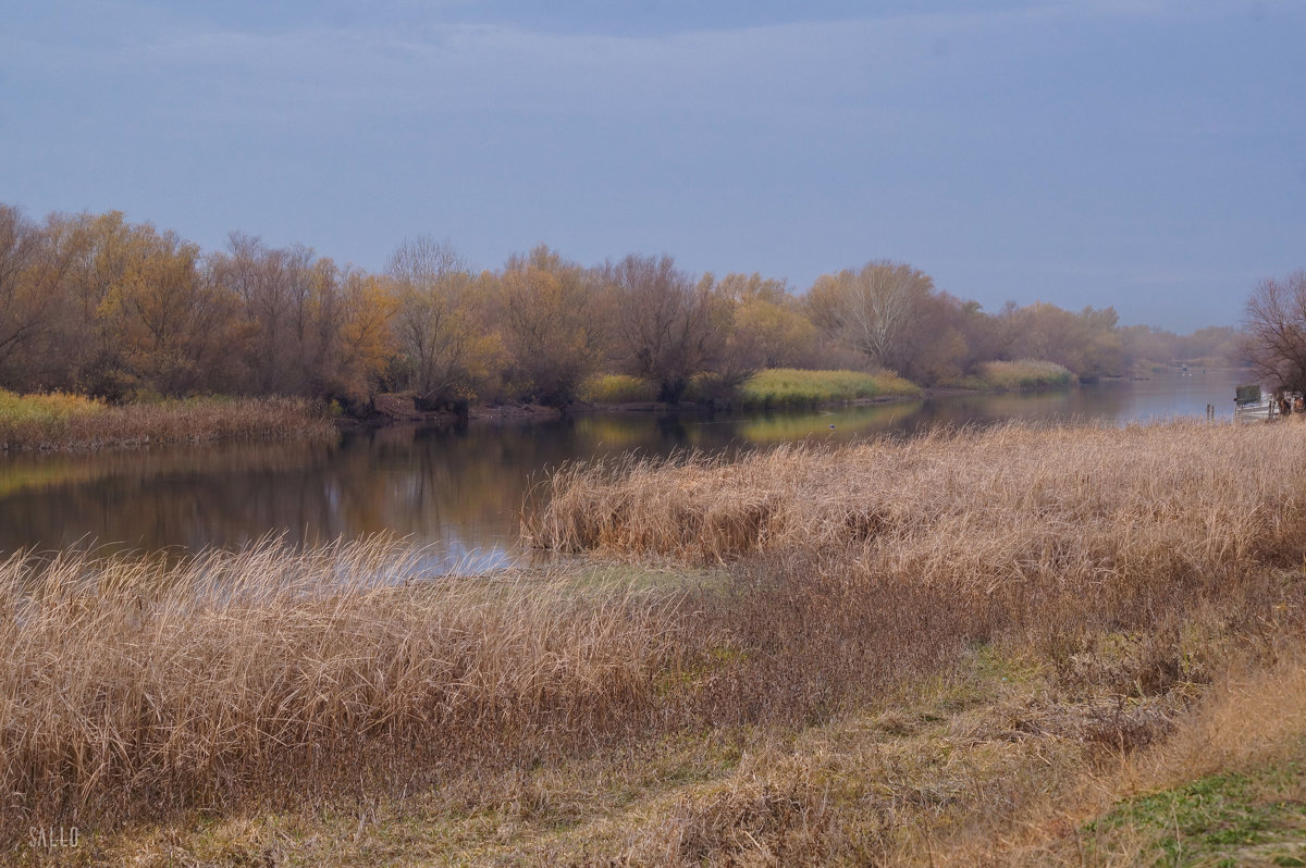 Осень - Алексей Салло