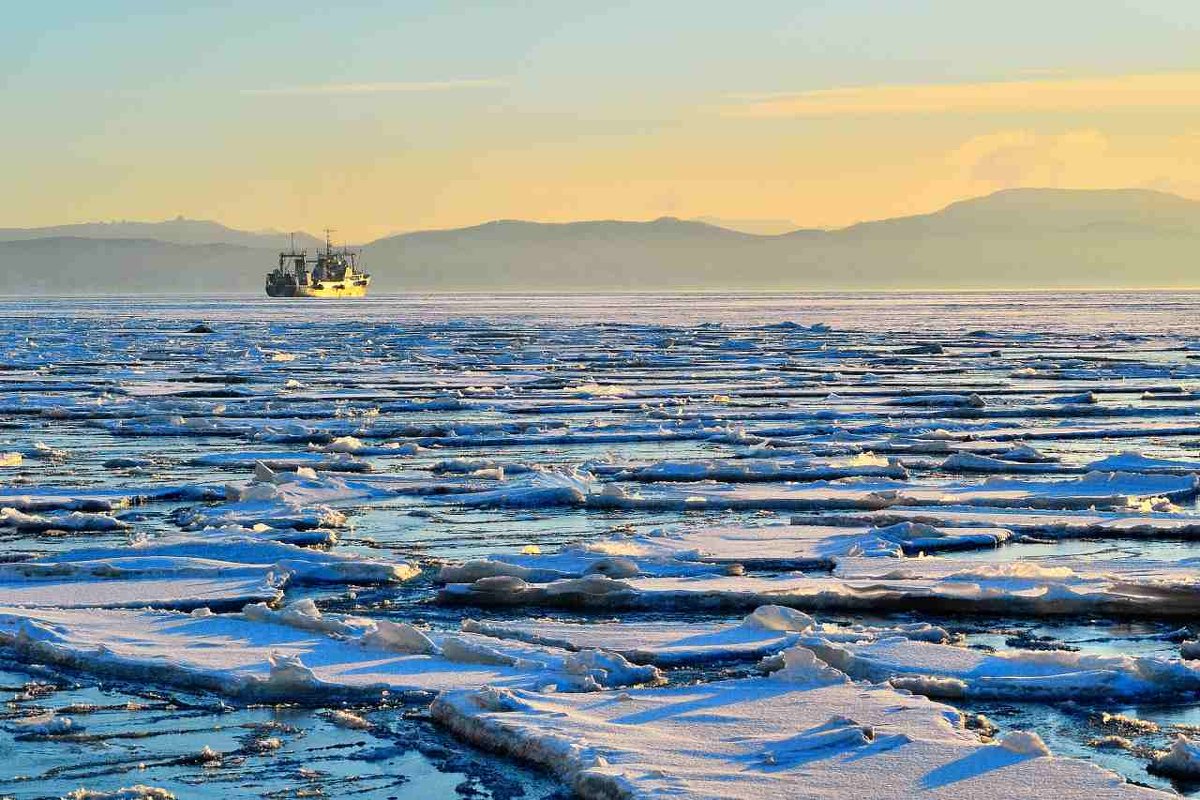 На дальних рубежах - Юрий Смольницкий