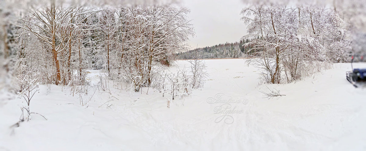 Снежная панорама - Анастасия Белякова