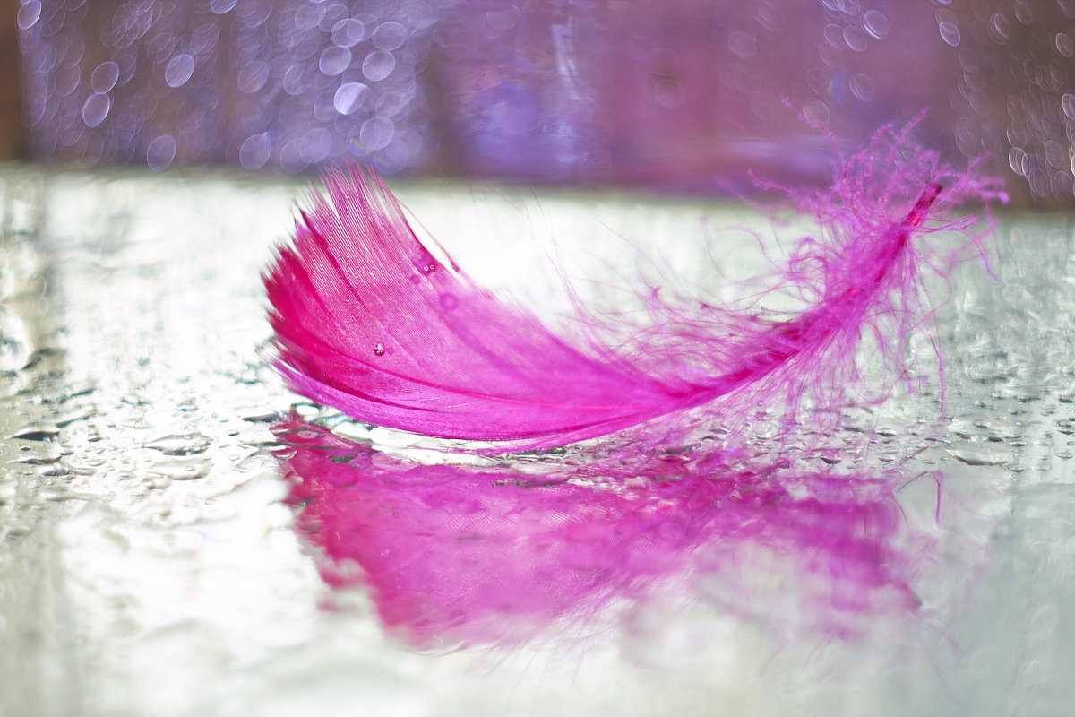 перышко - Седа Ковтун