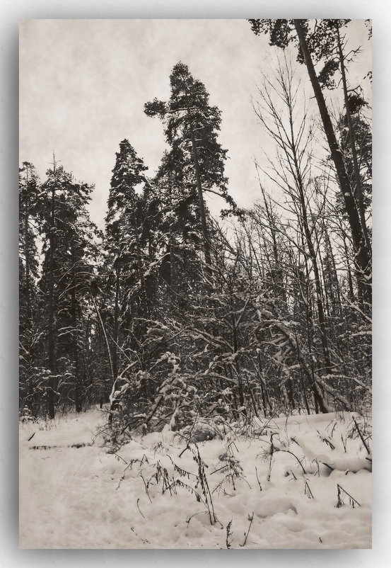 ... - Александр Липецкий