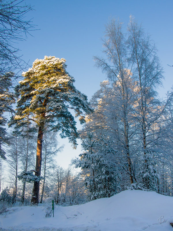 *** - Виталий 