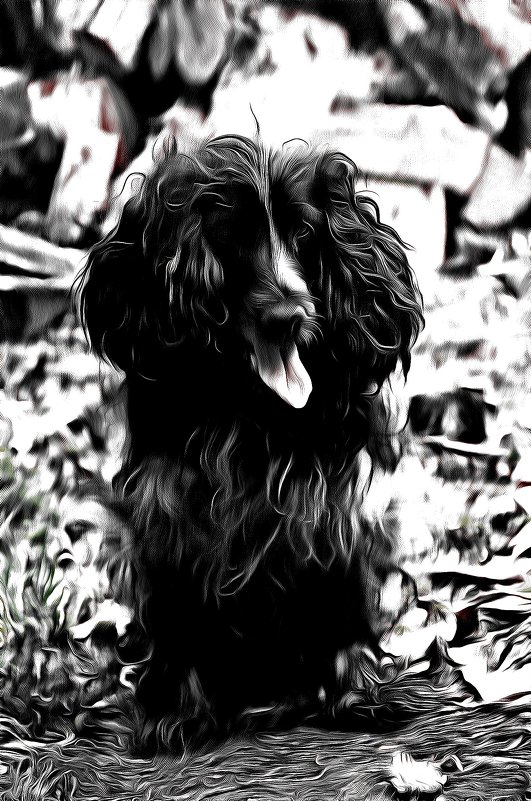 . - Ольга Cоломатина