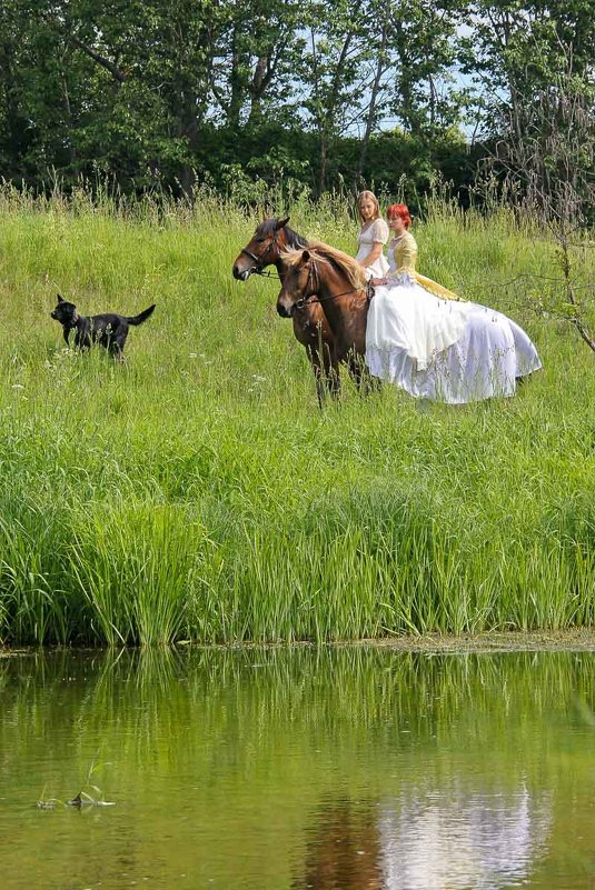 Прогулка - Сергей Козинцев
