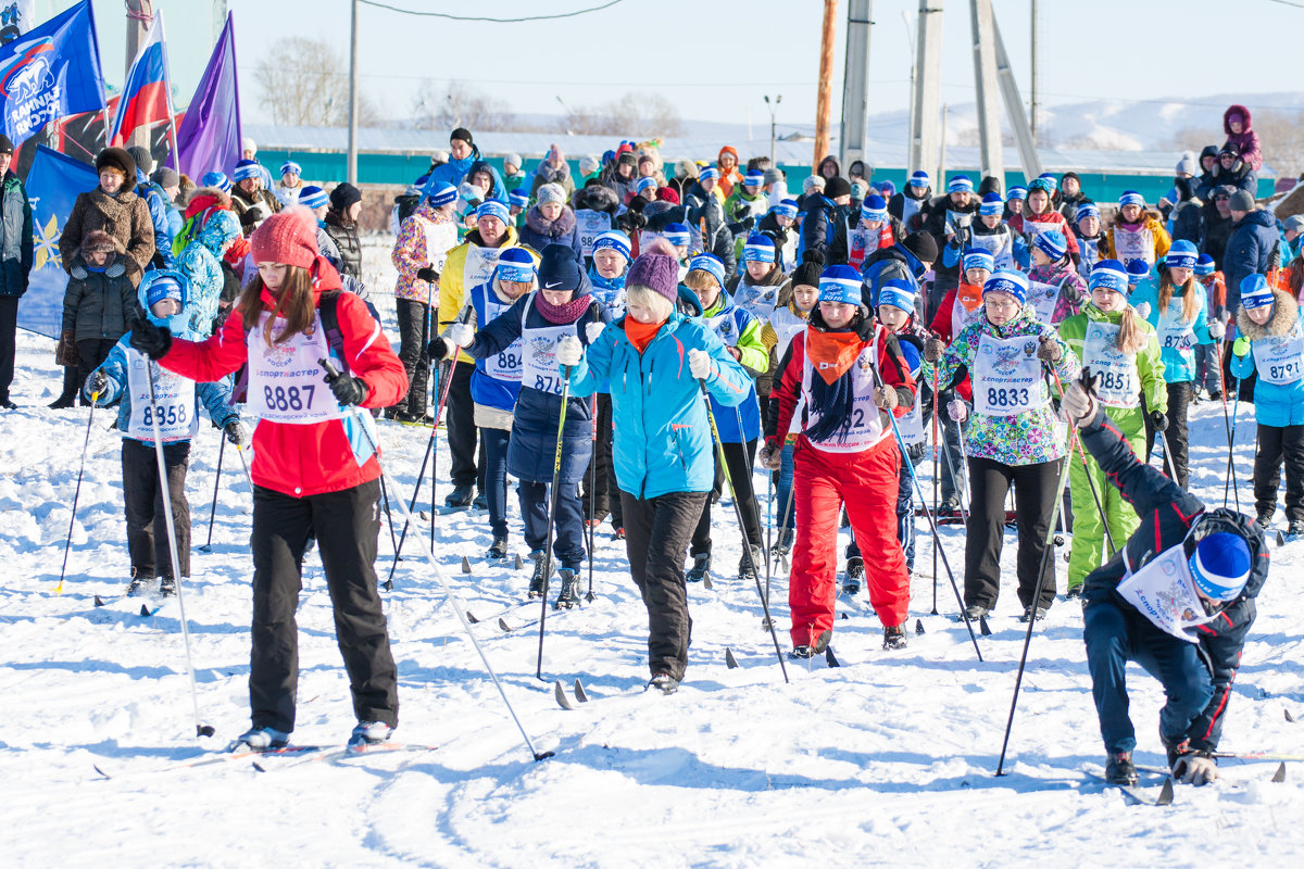 лыжня России 2016 - evgeny лыжня России 2016 - evgeny