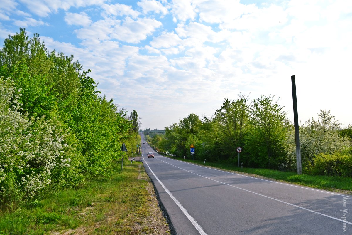 В дороге - Леся Українка