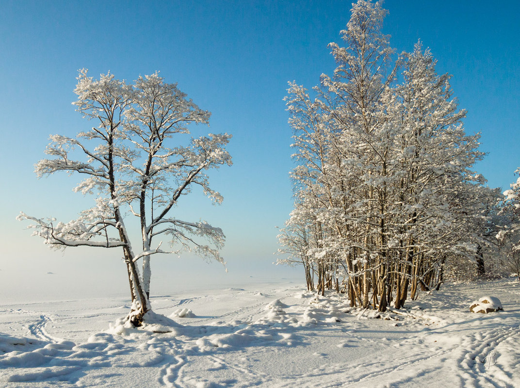 *** - Виталий 