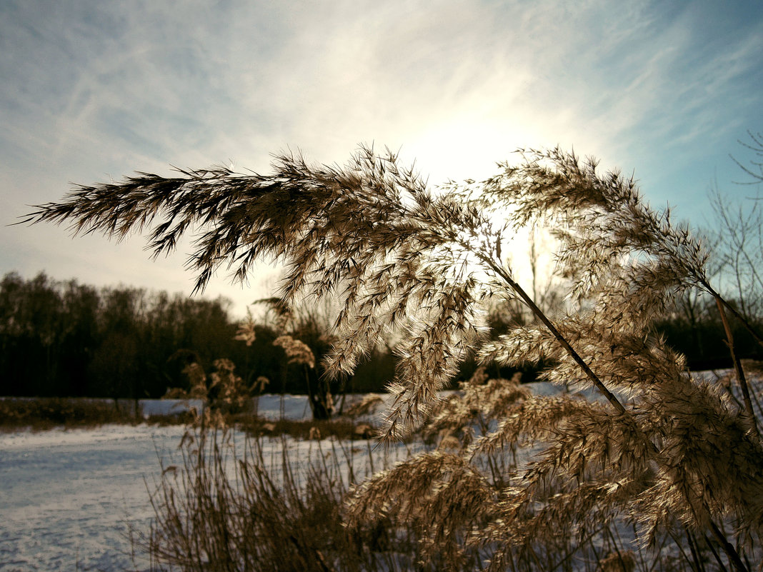 *** - Денис Масленников