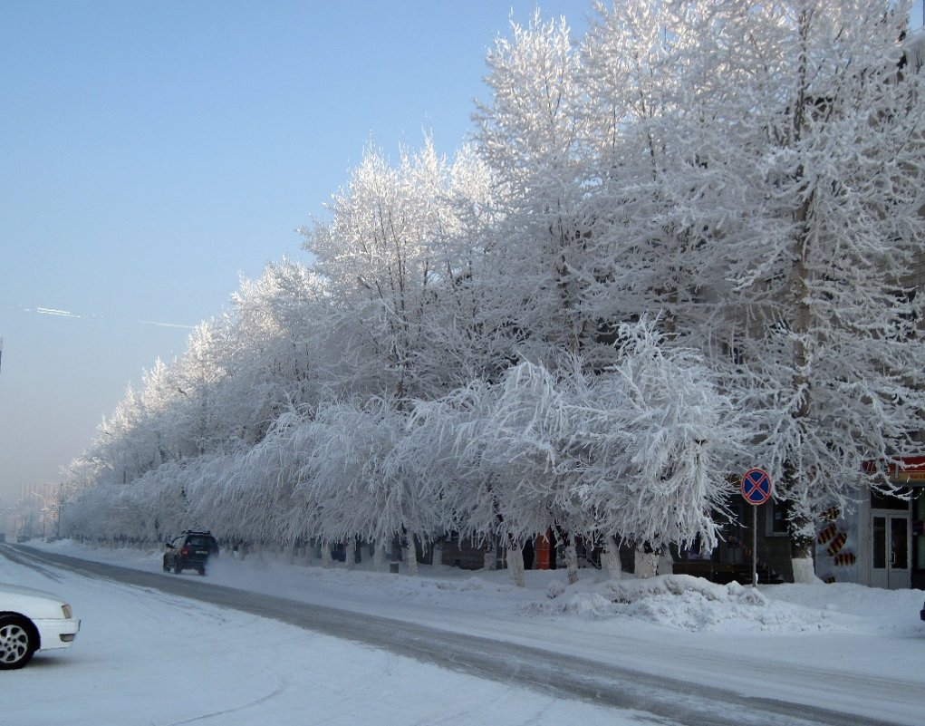 Зима, -40 градусов. - Людмила Грибоедова 