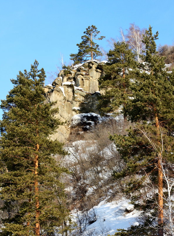 Прекрасный день - Радмир Арсеньев